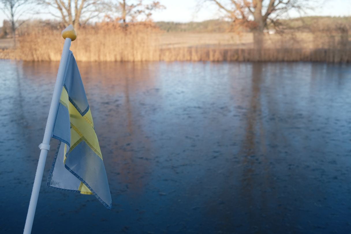 a photograph of a flag on a flagpole in front of a lake