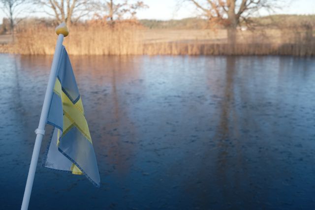 a photograph of a flag on a flagpole in front of a lake