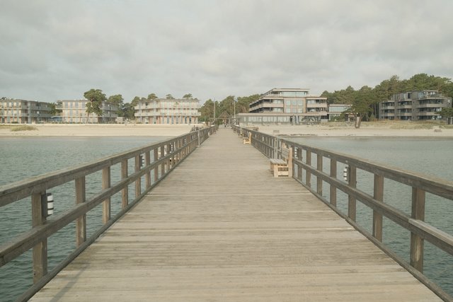 a photograph of a dog sitting on a wooden dock with a dog