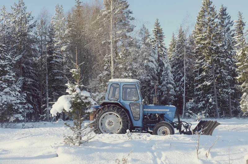 Blue tractor with front loader parked in snowy forest with evergreen trees.