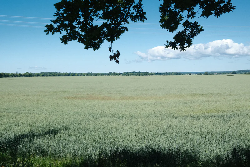 Green fields stretch to distant treeline under a blue sky with scattered clouds.