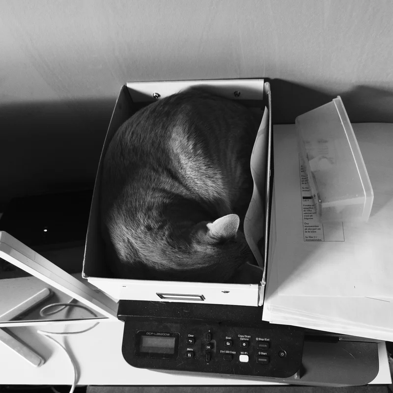 Black and white dog curled inside a printer box atop a multi-function printer, with paper trays nearby.