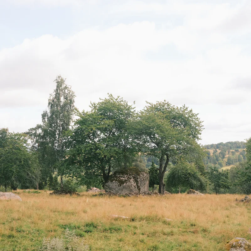 Trees and a large rock boulder sit in a grassy field under an overcast sky.