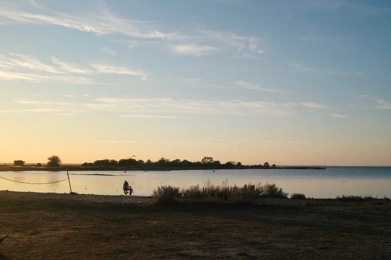 Sunset over a calm sea with grassy shoreline and distant trees.