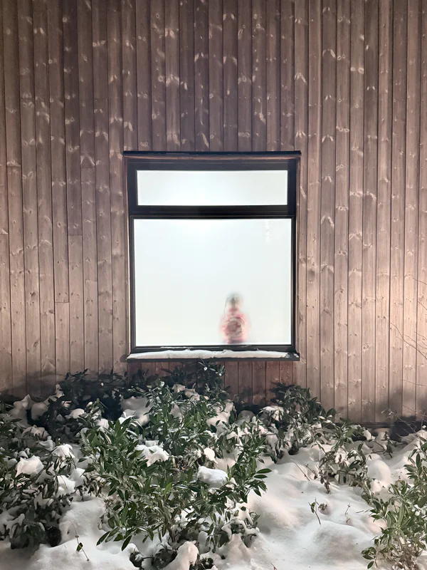 Snow-covered ground with green bushes and a window centered in a wooden wall.