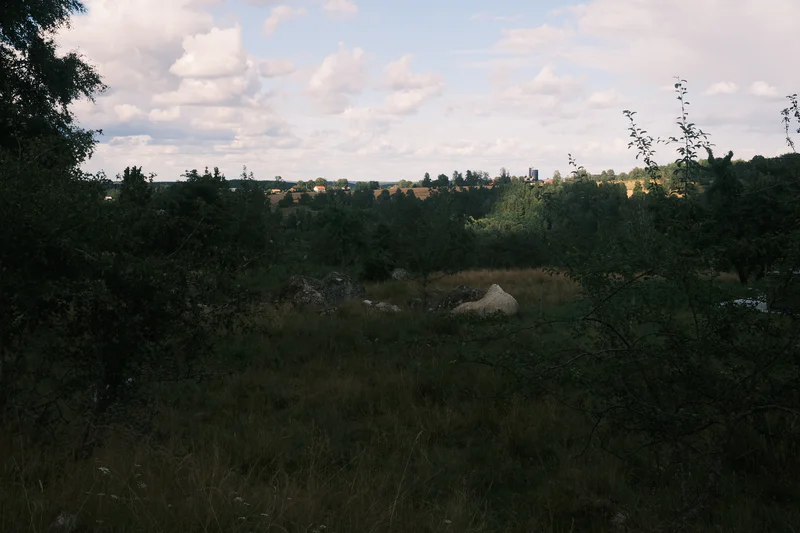 Overgrown field with scattered shrubs and trees, distant houses and fields under a partly cloudy sky.