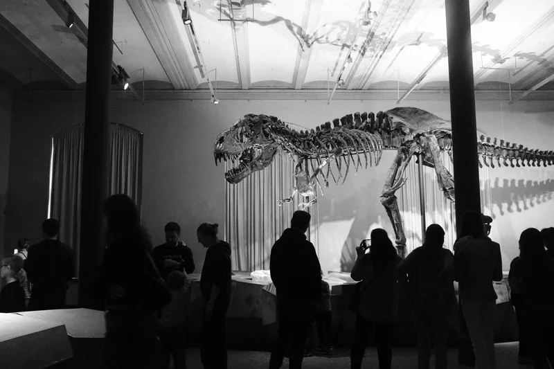 Silhouetted visitors stand in a museum room beneath a large dinosaur skeleton display.
