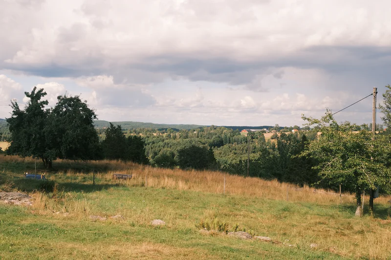 Grassy pasture with scattered trees and fields stretching toward a forested valley under cloudy sky.