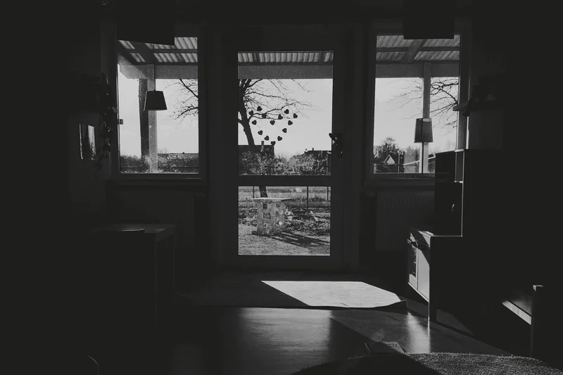 Dark room interior with three window frames showing an overcast yard and bare trees.
