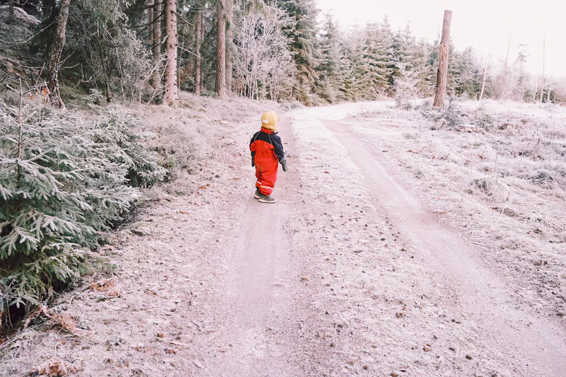Person in red and black winter gear walks on a snow-dusted dirt road through a pine forest.