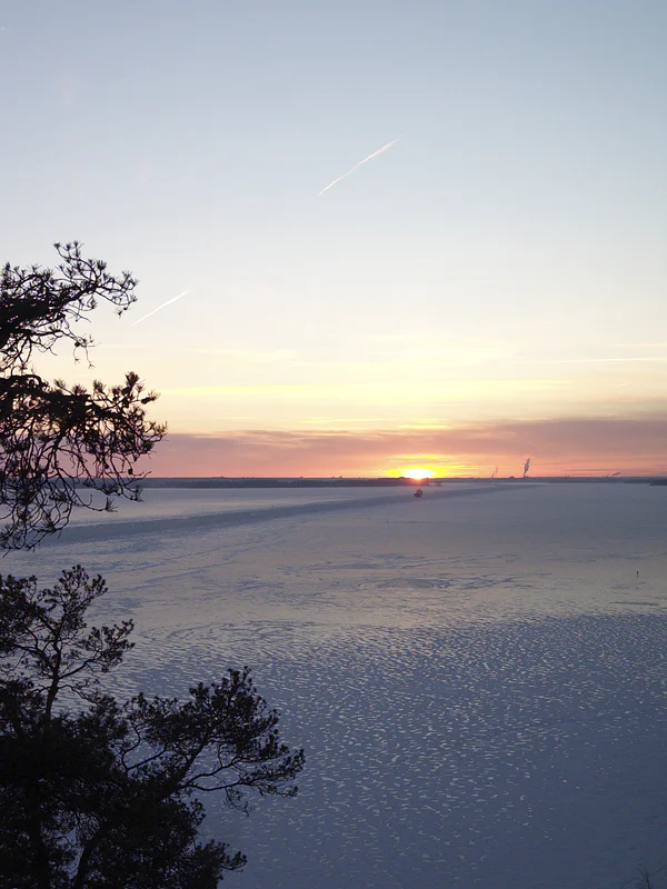 Frozen shoreline with snow-covered ice, trees in the foreground, and a sunrise over the horizon.