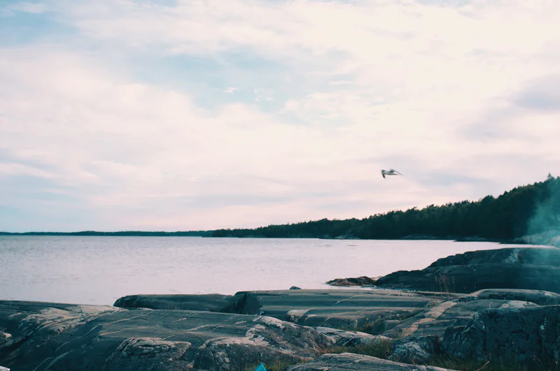 Rocky shoreline with a calm lake, forested hills, and a single seabird flying against a pastel sky.