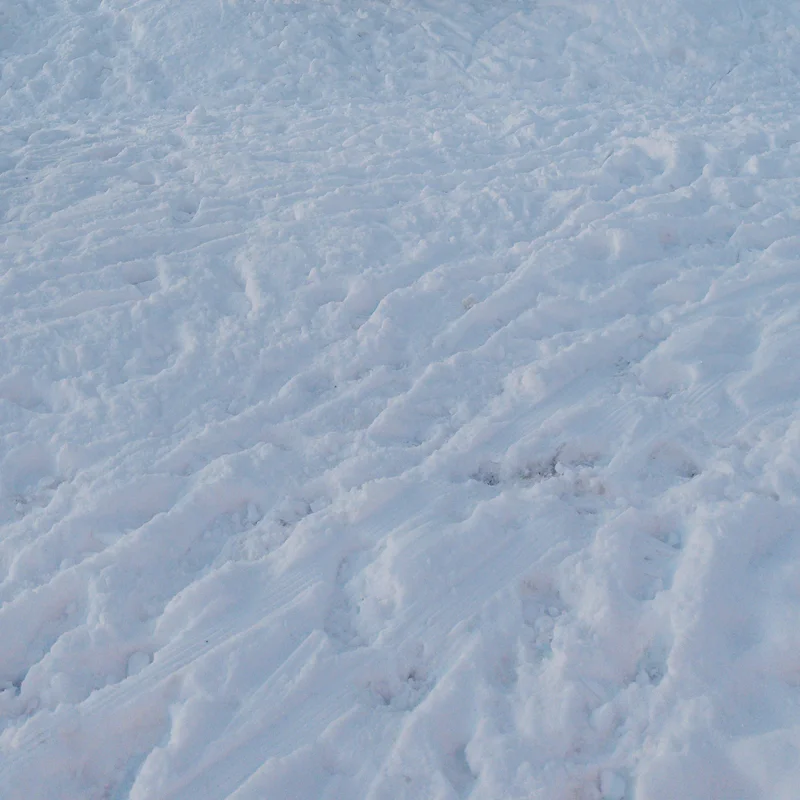 Close-up of snow-covered ground with textured footprints and wind-sculpted patterns.