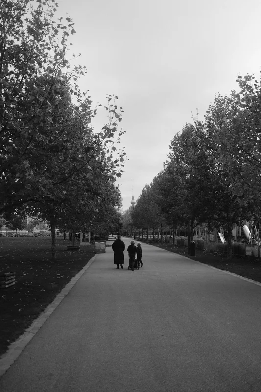 Two people walk down a straight tree-lined path under a cloudy sky, with benches and trees on both sides.