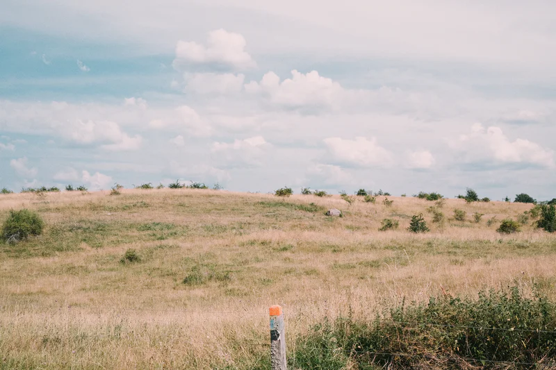 Dry grassy hillside under a partly cloudy sky, with a short wooden post in the foreground.