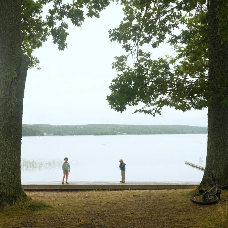Two boys stand by a lakeshore beside a dock, framed by leafy tree trunks and a bicycle wheel.