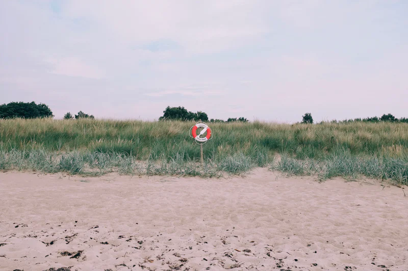 Red-and-white lifebuoy mounted on a post in sandy beach beside tall green grass.