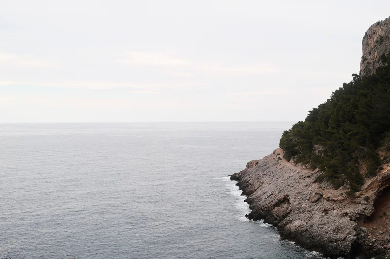 Cliffside covered with green trees overlooking a calm ocean under a pale sky.