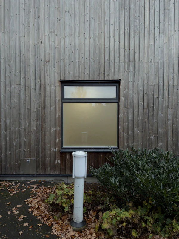 Square window with black trim in a wooden fence, beside a white post and shrubs with fallen leaves at ground level.