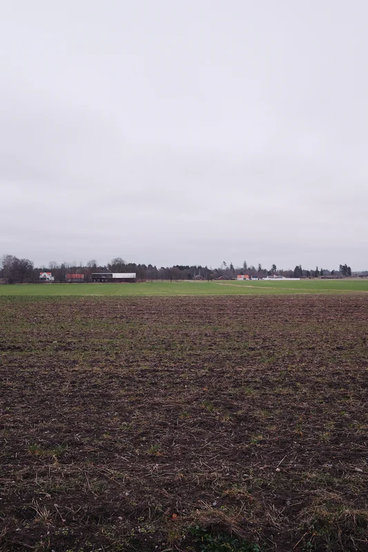 Overcast countryside field with sparse trees and small farm buildings in the distance.