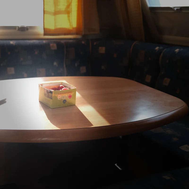 Sunlit cardboard box of red and white fruit sits on a round table in a patterned car interior.