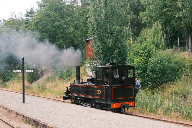 Steam locomotive pulling along a railway track through a wooded area with dense greenery.