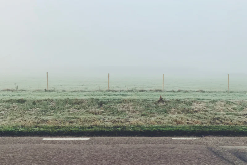 Misty roadside beside grassy field with four fence posts and a person sitting in the grass.