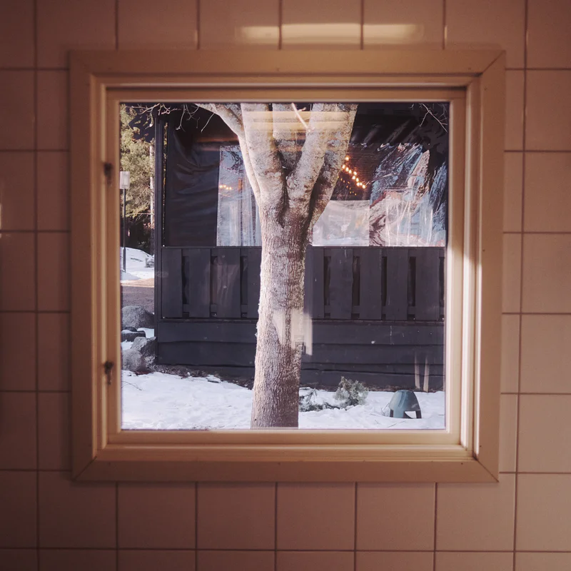 Window opening with snow outside, a tree trunk in the center, and bright lights behind a glass panel.