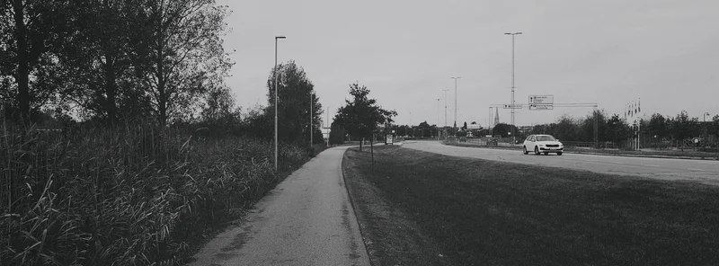 Curving roadside with trees on the left, streetlights, and a white car driving on the road under a gray sky.