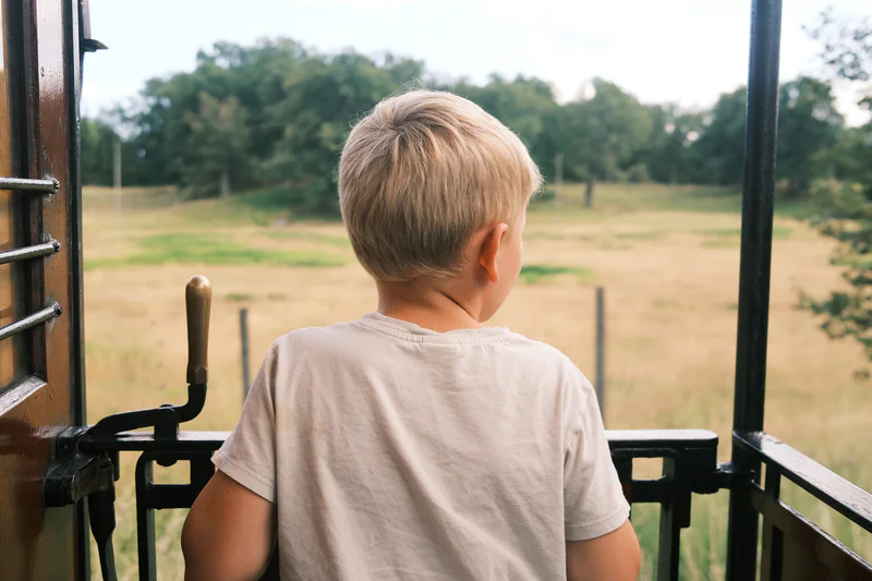 A young child with short blond hair sits on a train, viewed from behind, looking at fields.