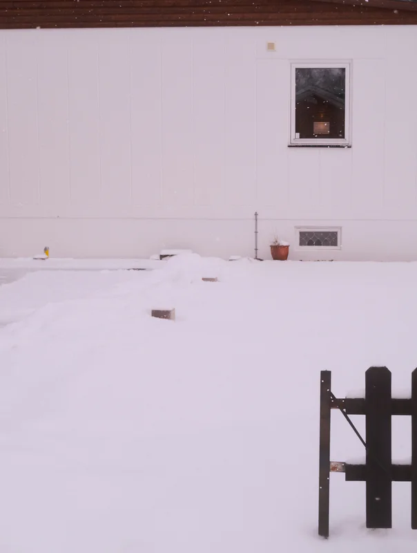 Snow-covered yard in front of a white house with two windows and a dark wooden fence.
