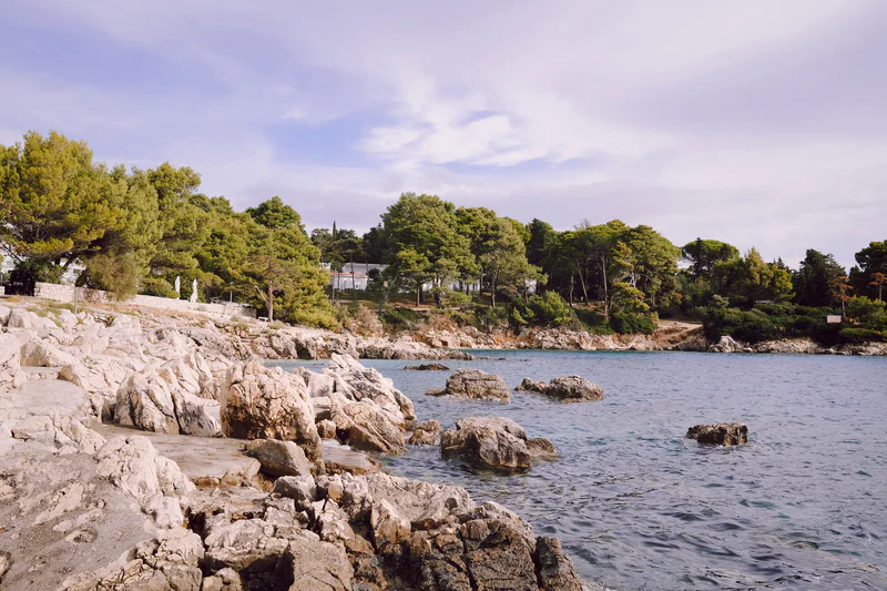 Rocky shoreline with small coves, pine trees, and calm blue water under a partly cloudy sky.