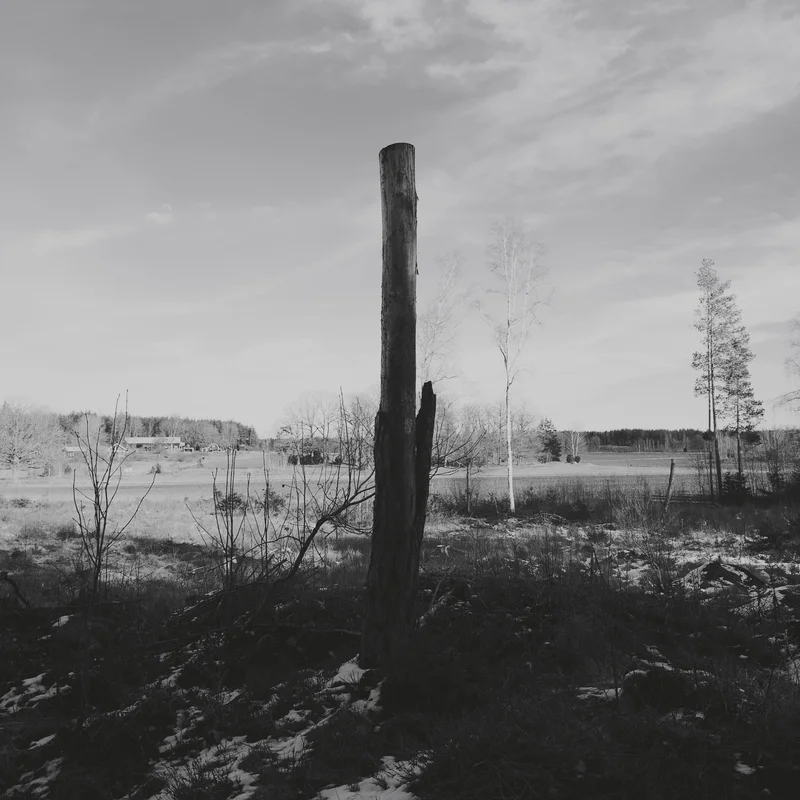 Tall weathered wooden post stands in a snowy field under a cloudy gray sky.