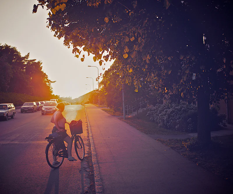 Person riding a bicycle along a sunlit street with parked cars on the left and trees overhead.