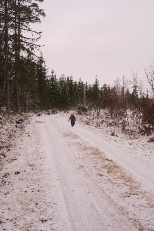 Person walking along a snowy forest road with pine trees and leafless shrubs on both sides.