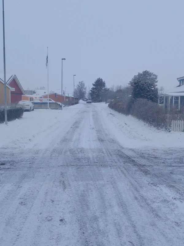 Snow-covered residential street with houses and trees under a pale sky.