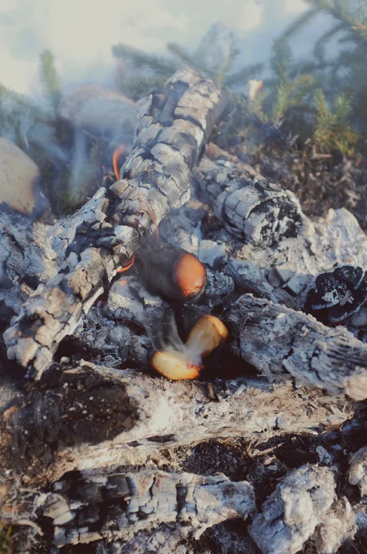 Charcoal and ash over burning logs in a stone fire pit, with orange flames and smoke.