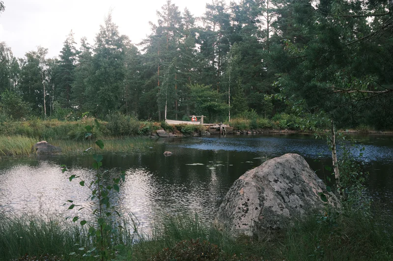 Lakeside view with calm water, tall pine trees, and a large rock in the foreground.