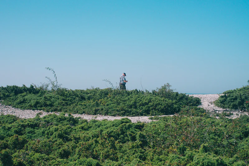 Person standing on a rocky hilltop among dense green shrubs under a clear blue sky.