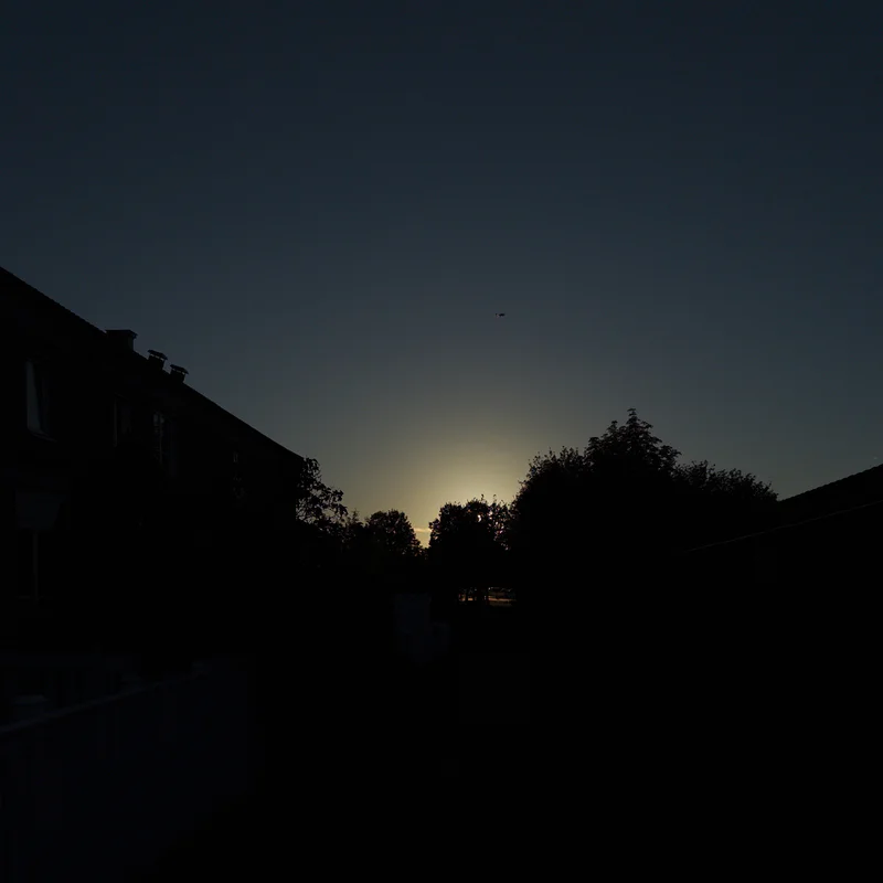 Dark rooftops and trees under a twilight sky with a small distant light.