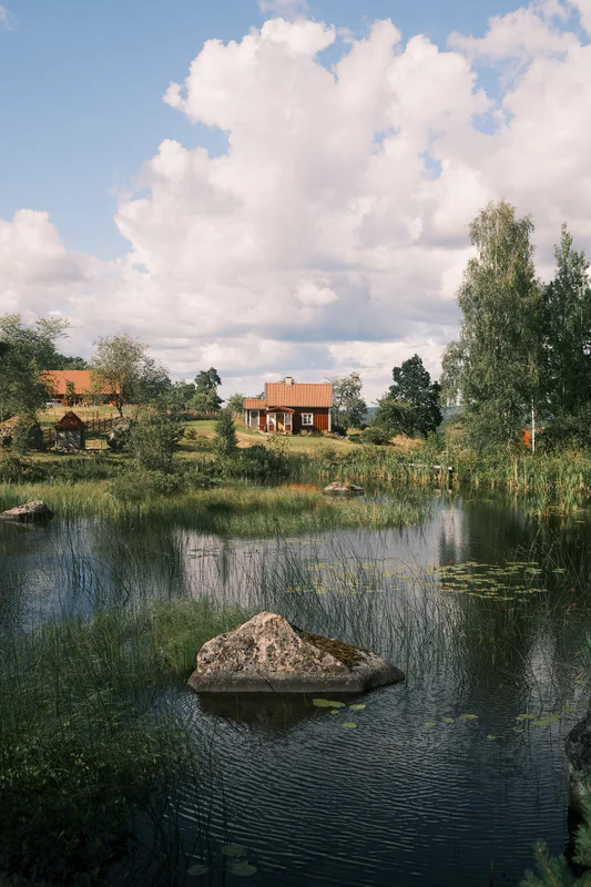Rural pond with lily pads and a large rock in the foreground, grassy field, and red-roof houses under cloudy sky.