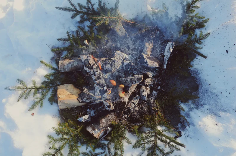 Wood logs burning in a fire pit surrounded by pine branches, with smoke rising into the air.