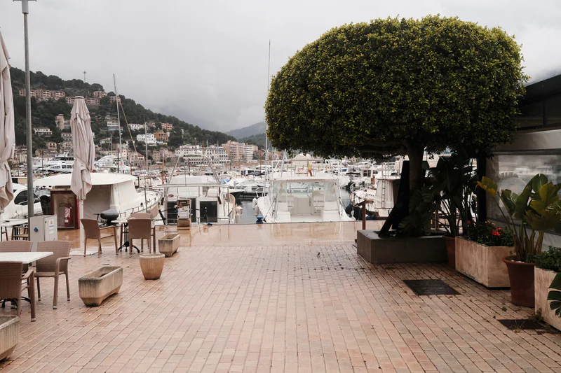 Empty marina walkway with boats, brick paving, and large tree planter under cloudy skies.