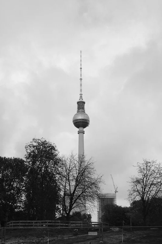 Berlin TV Tower rises above trees and buildings under an overcast sky.