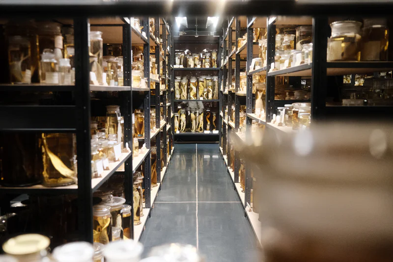 Interior of a storage warehouse aisle with shelves of jars and bottles on both sides.